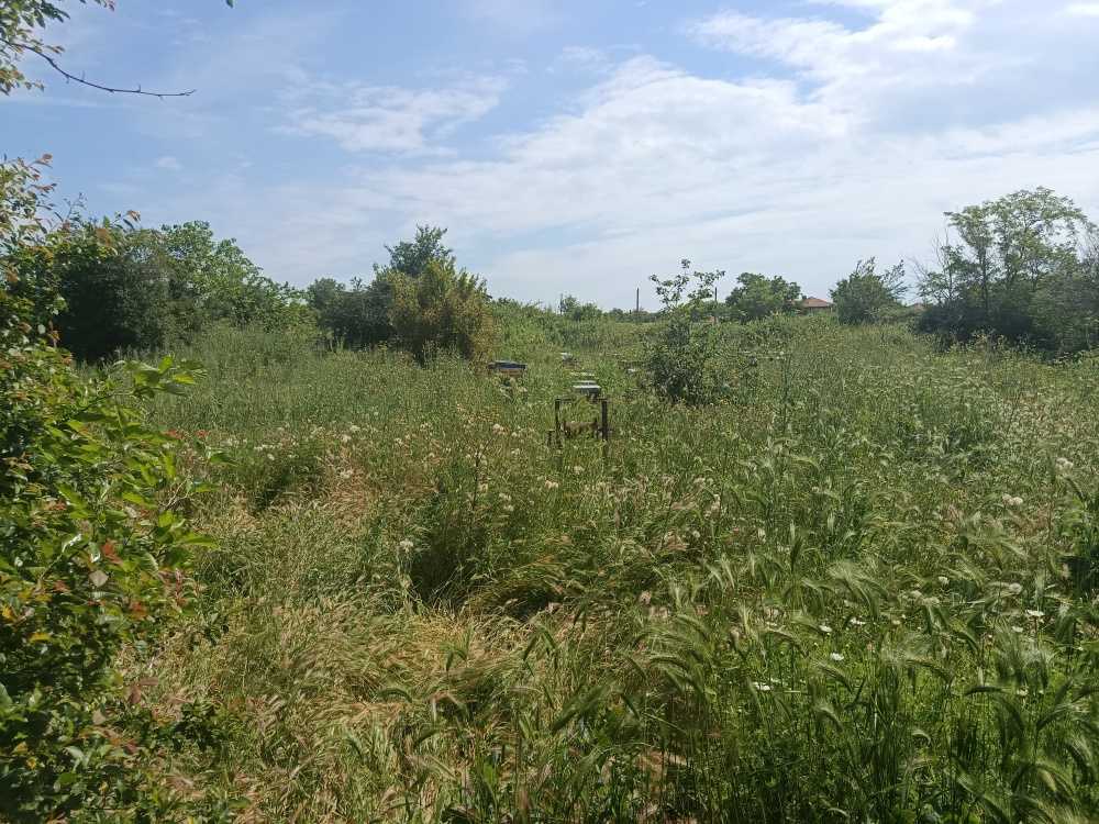 Парцел Гълъбово