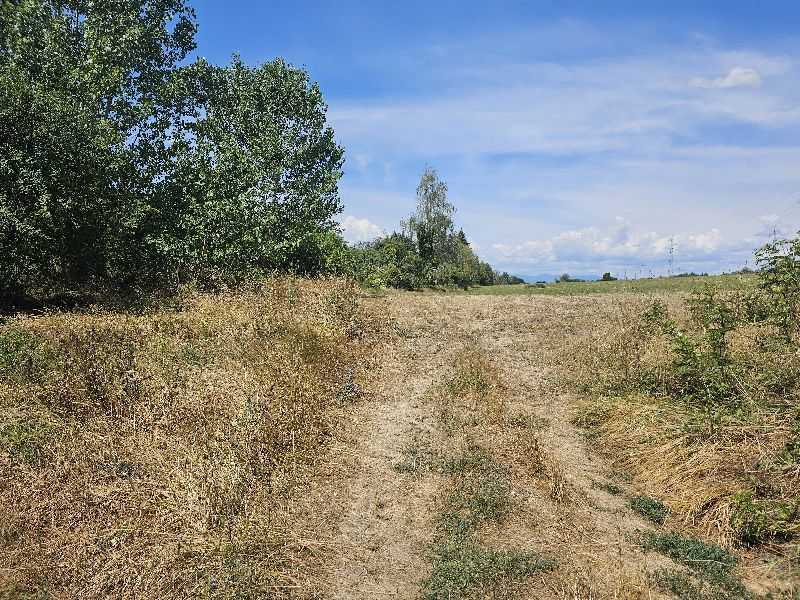 Земеделска земя Новачене