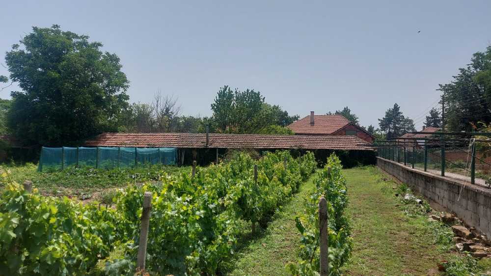 Парцел Одърне