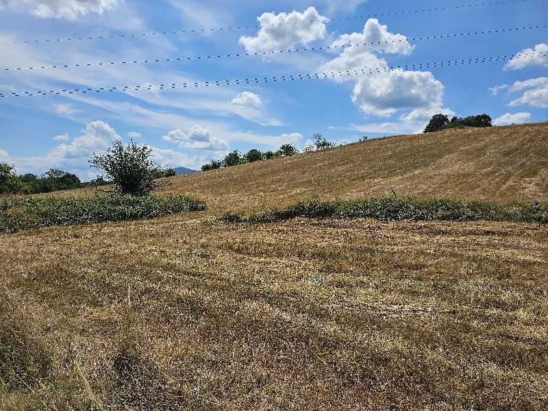 Земеделска земя Скравена