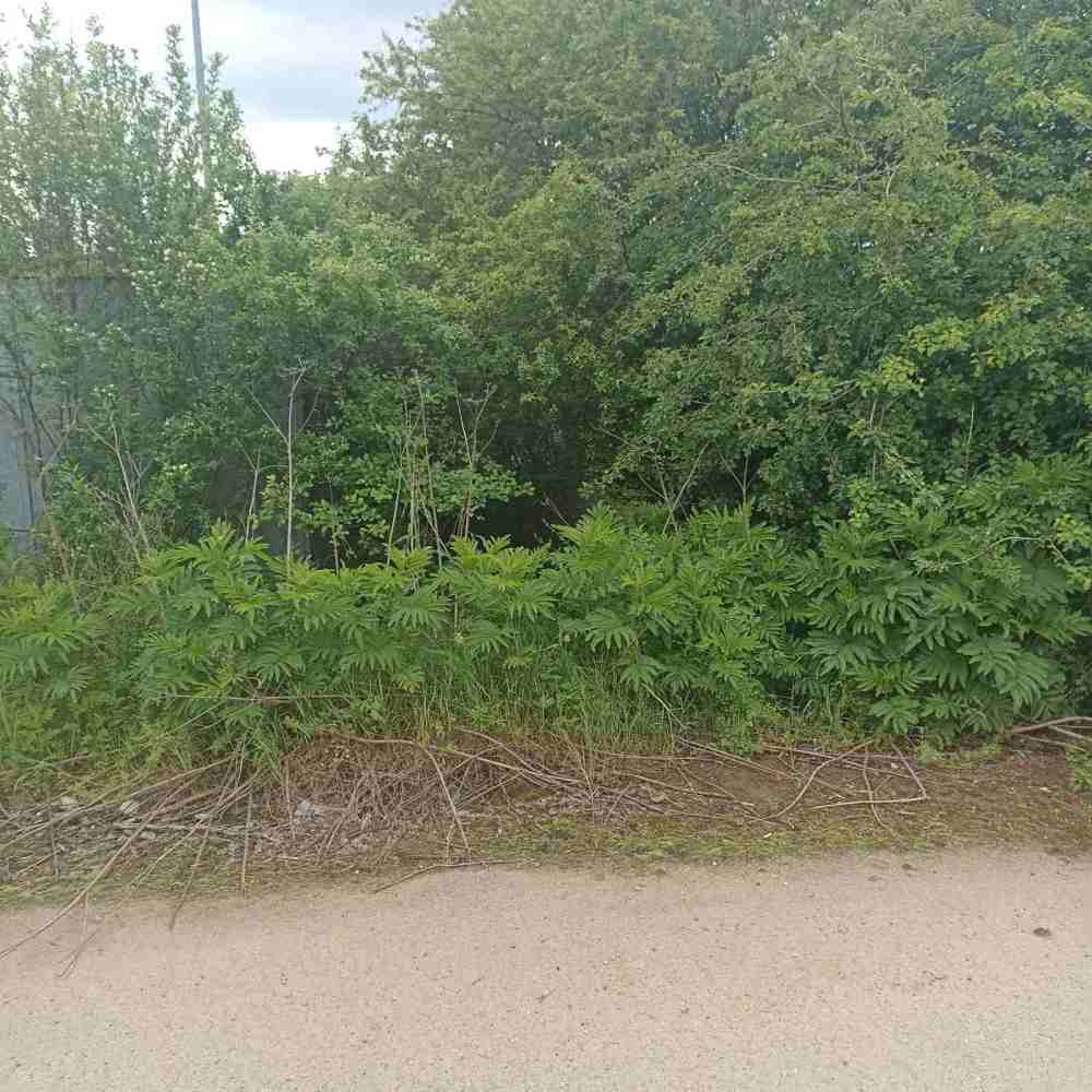 Парцел Горна Малина