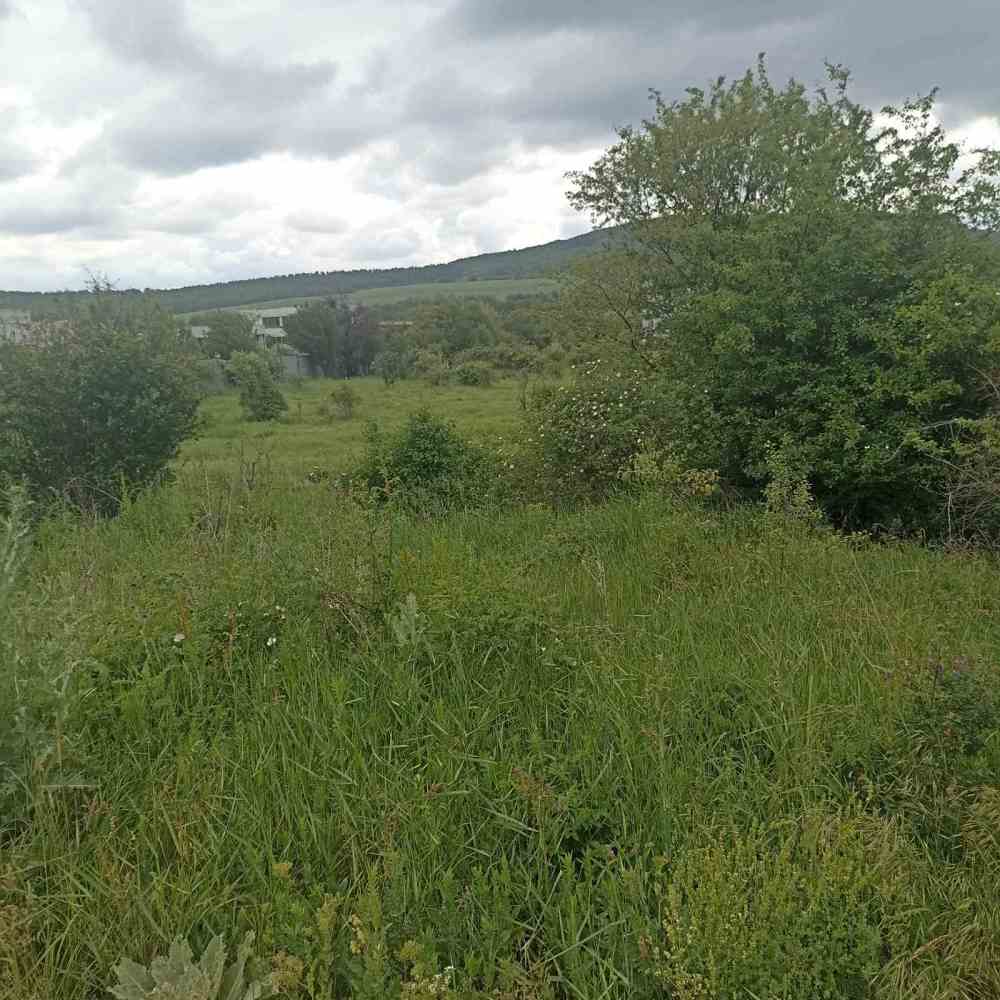 Парцел Горна Малина