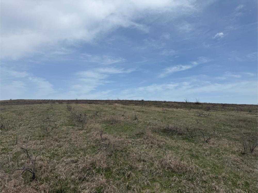 Земеделска земя Венец