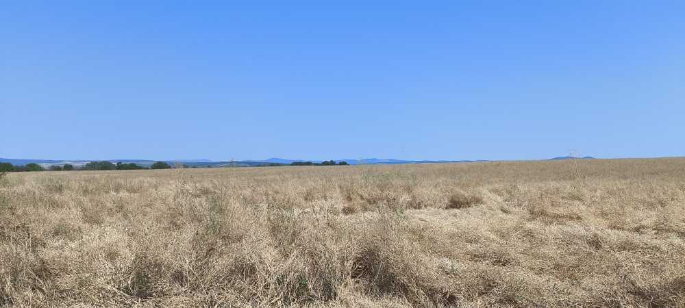 Земеделска земя Лозарево