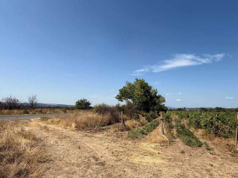 Земеделска земя Черница