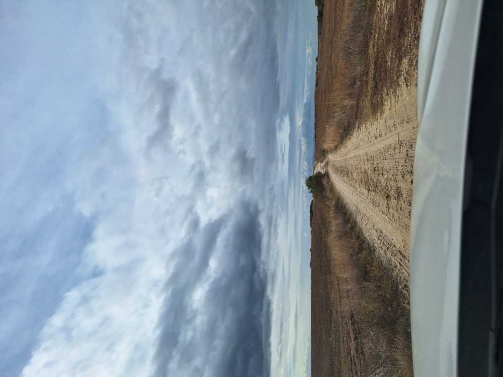 Парцел Приселци