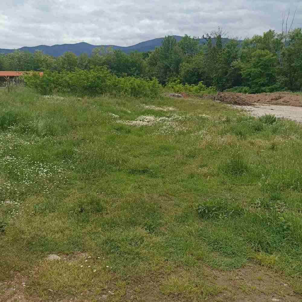 Парцел Трудовец