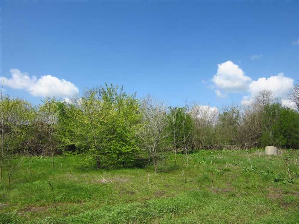 Парцел Сталево