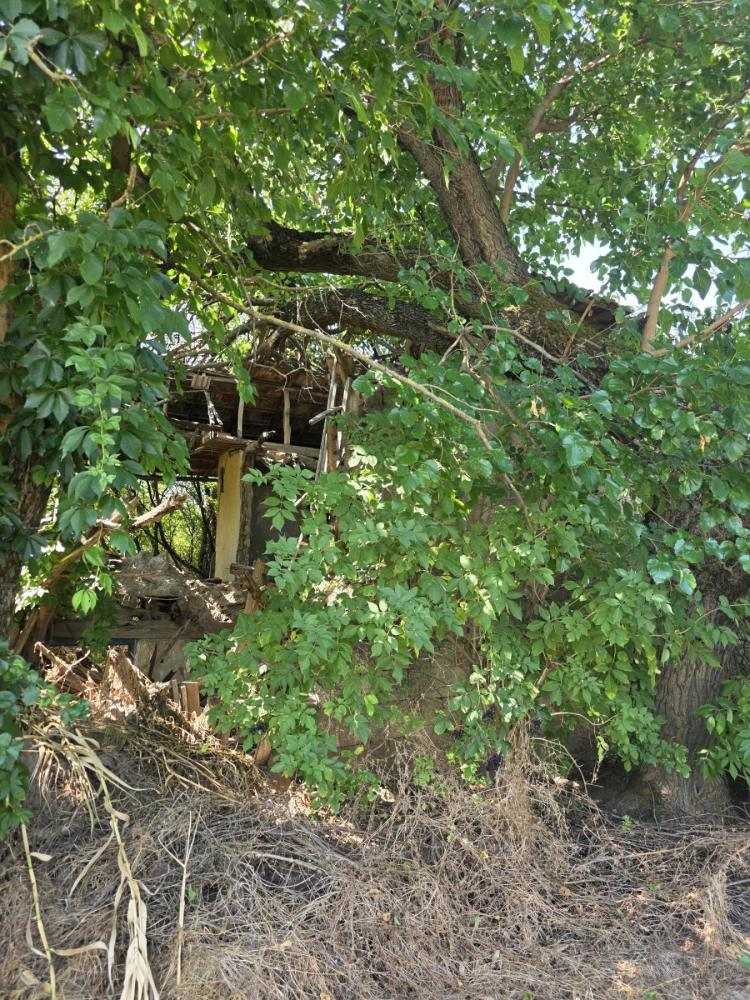 Парцел с къща Екзарх Йосиф