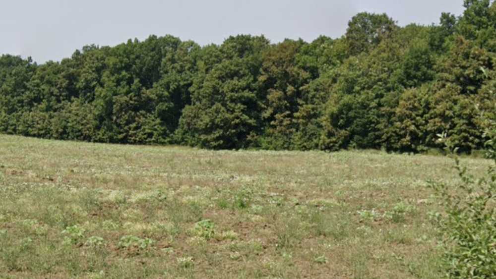 Земеделска земя Заберново