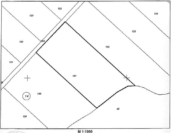 Земеделска земя Звиница