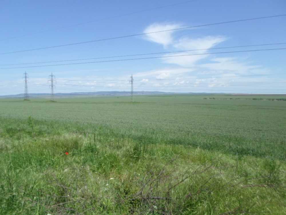 Земеделска земя Камено