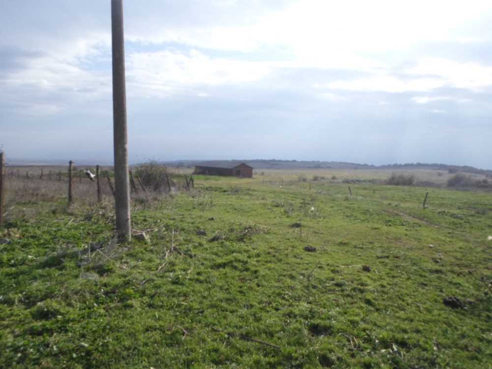 Склад Терзийско