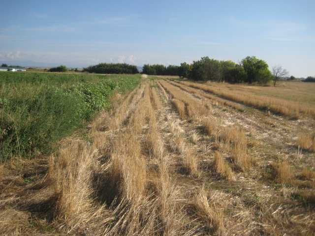 Земеделска земя Ивайло
