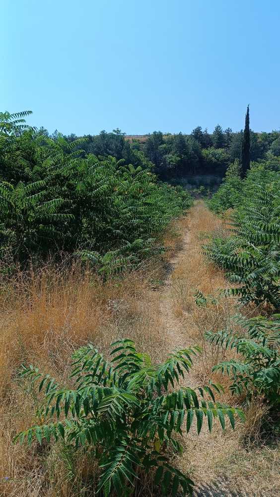 Производствен имот Асеновград