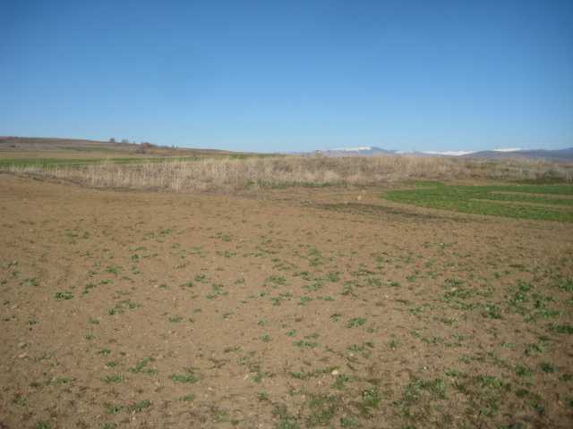 Земеделска земя Овчеполци