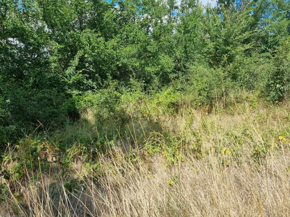 Парцел Петров дол