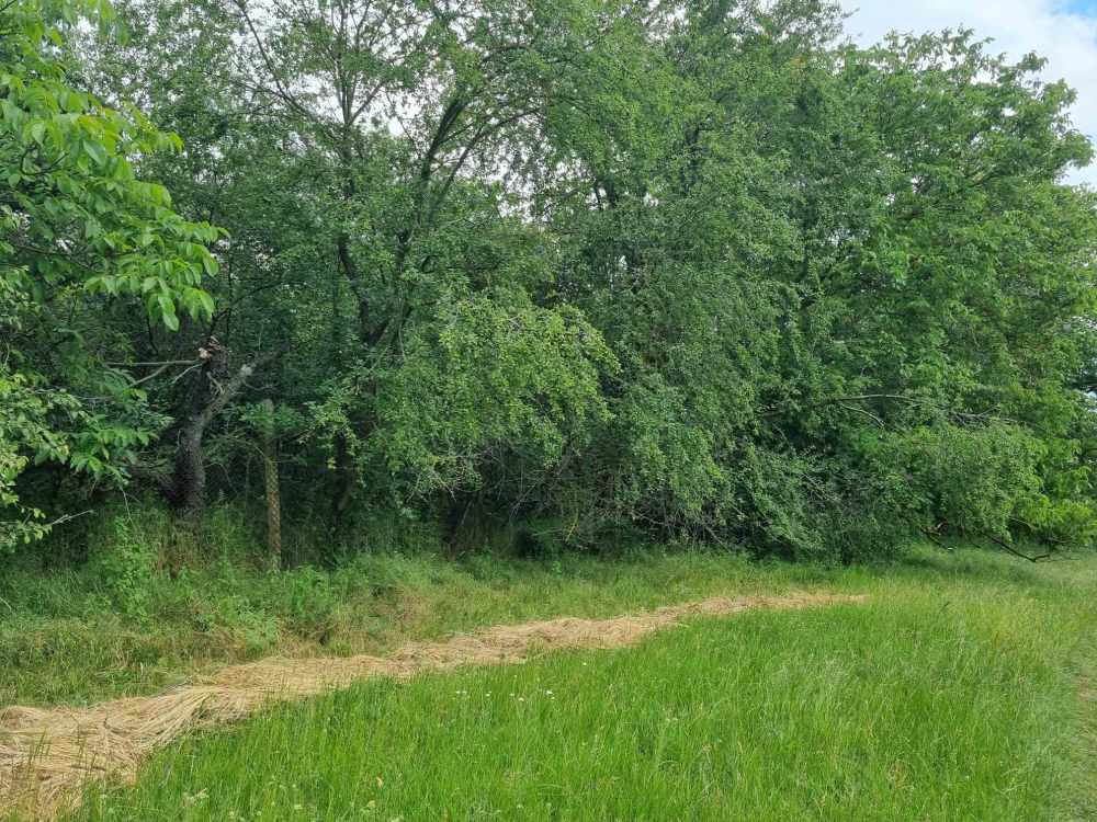 Парцел с къща Оборище