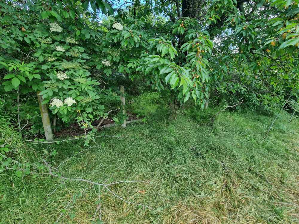 Парцел с къща Червенци