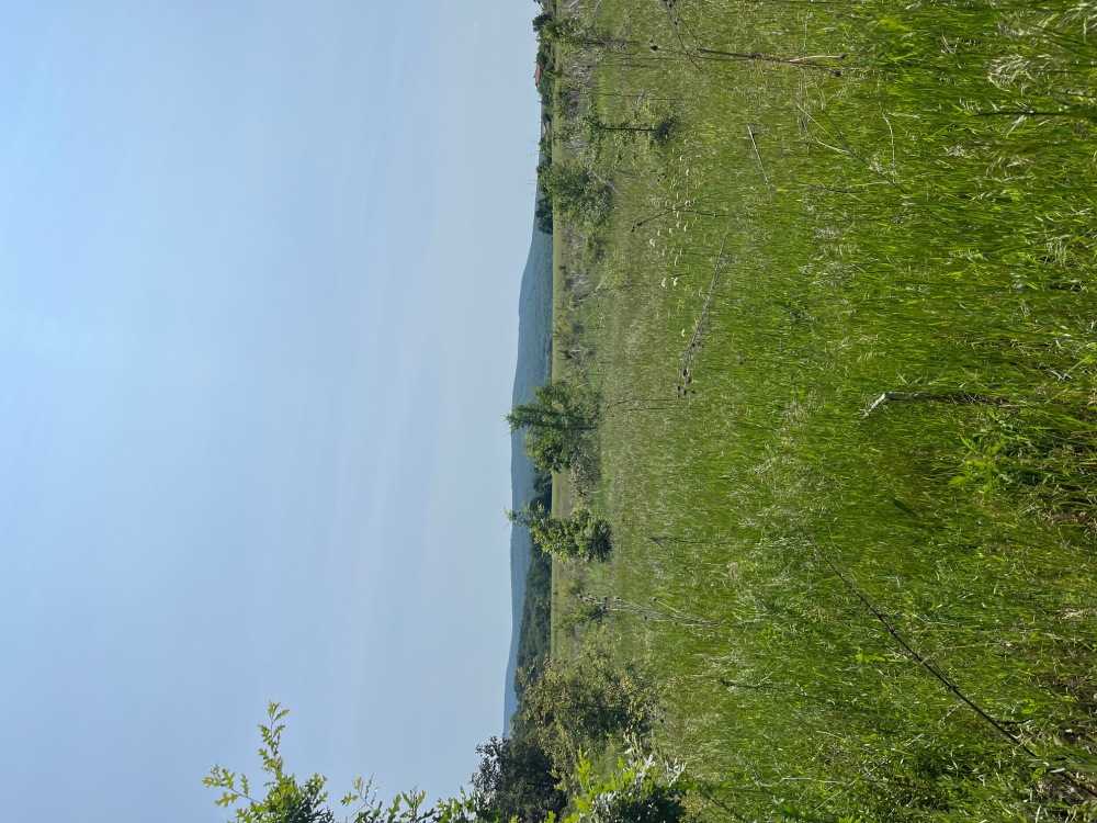 Парцел Юнец