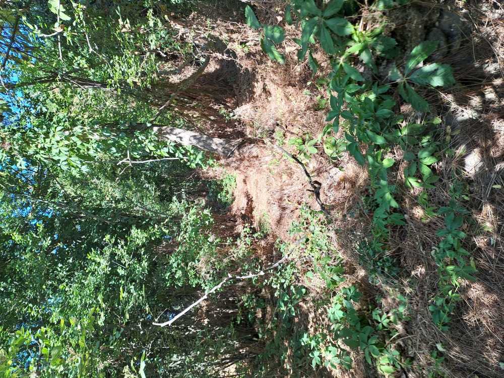 Парцел с къща в Сноп