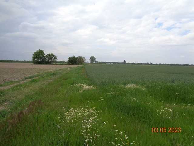 Земеделска земя Труд