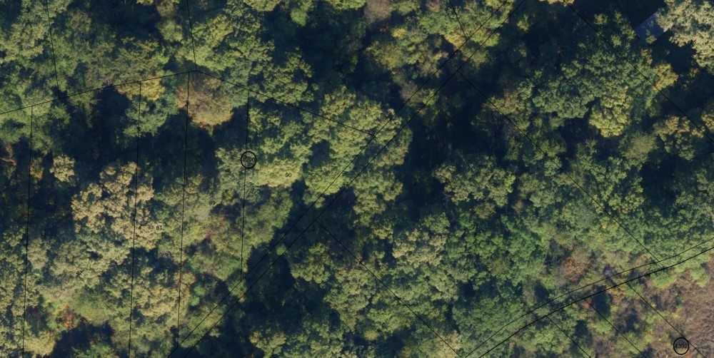 Парцел София