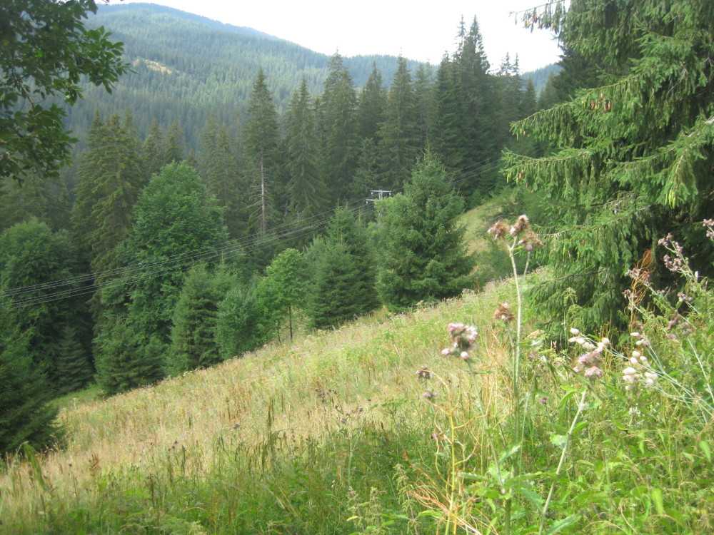 Земеделска земя Чепеларе