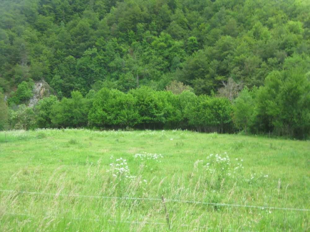 Земеделска земя Смилян