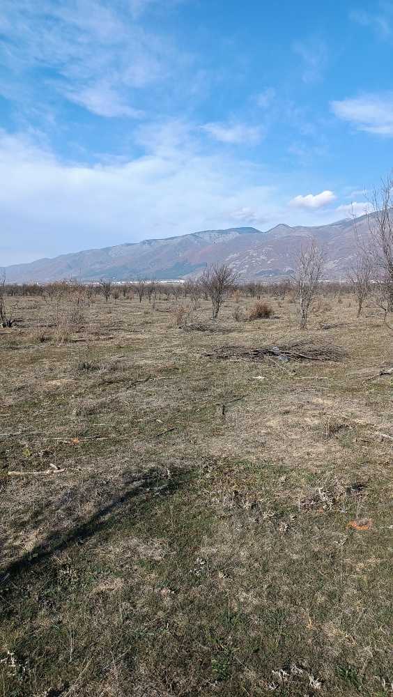 Земеделска земя Дъбене