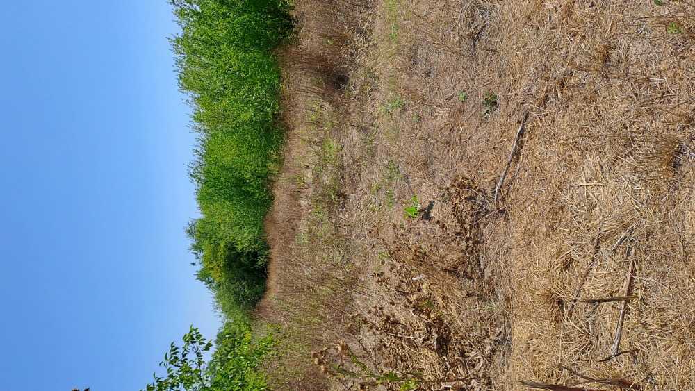 Парцел Езерец