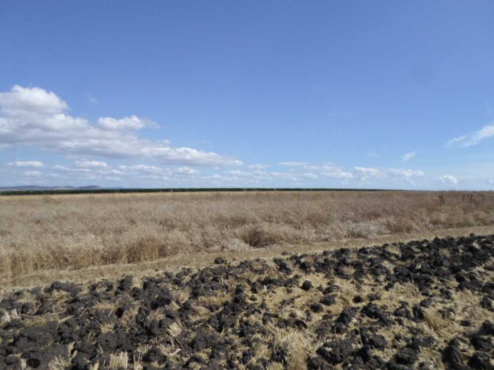 Земеделска земя Поморие