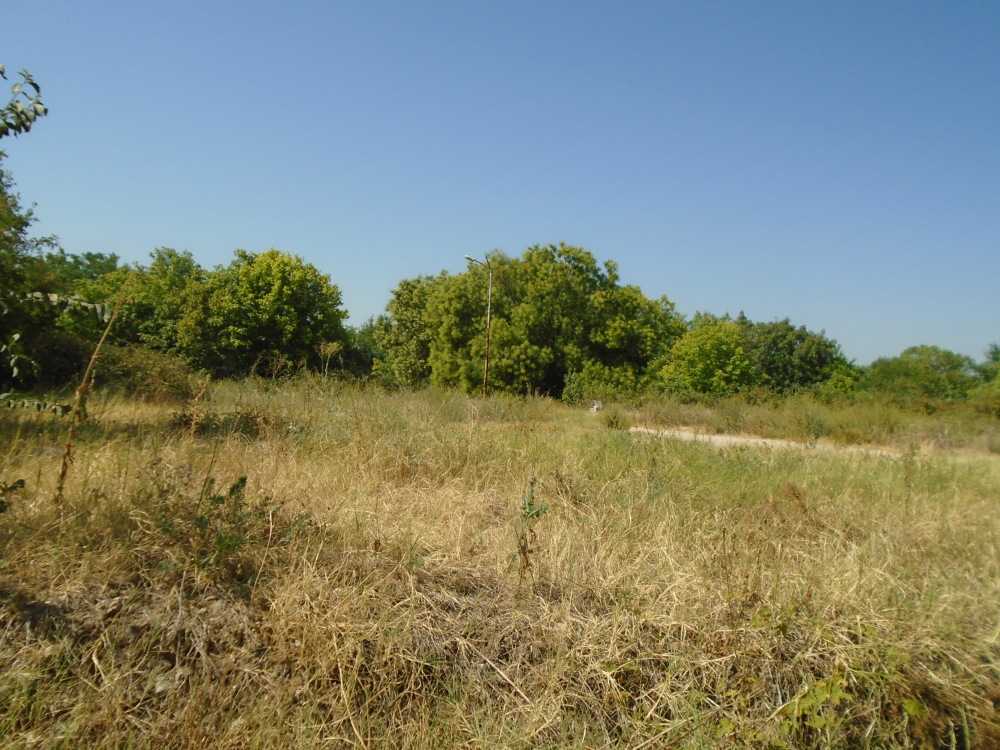 Земеделска земя Скутаре