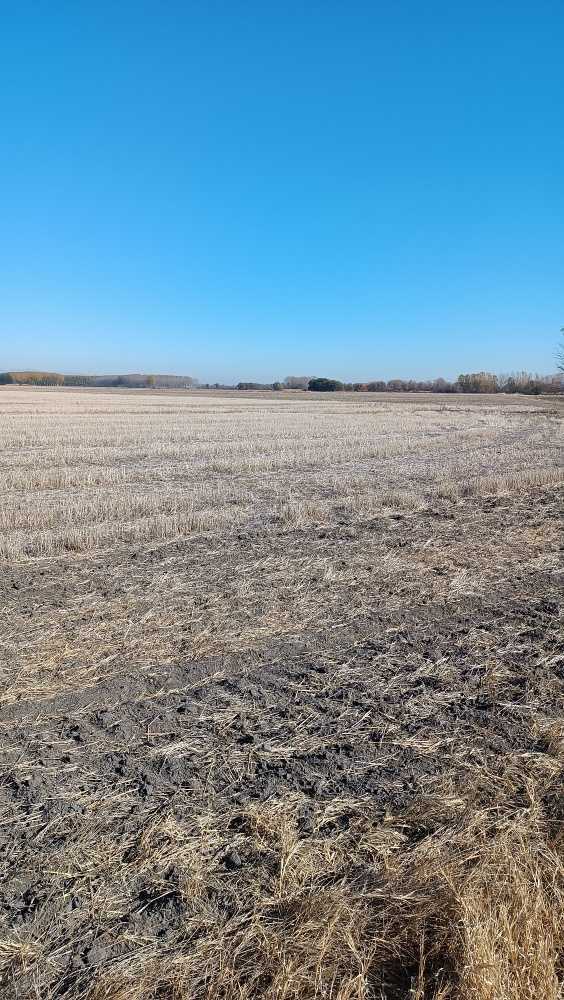 Земеделска земя Ягодово