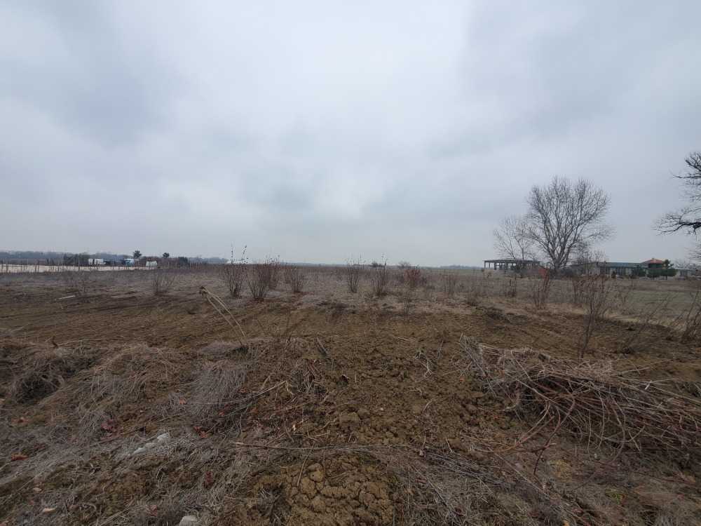 Земеделска земя Мало Конаре