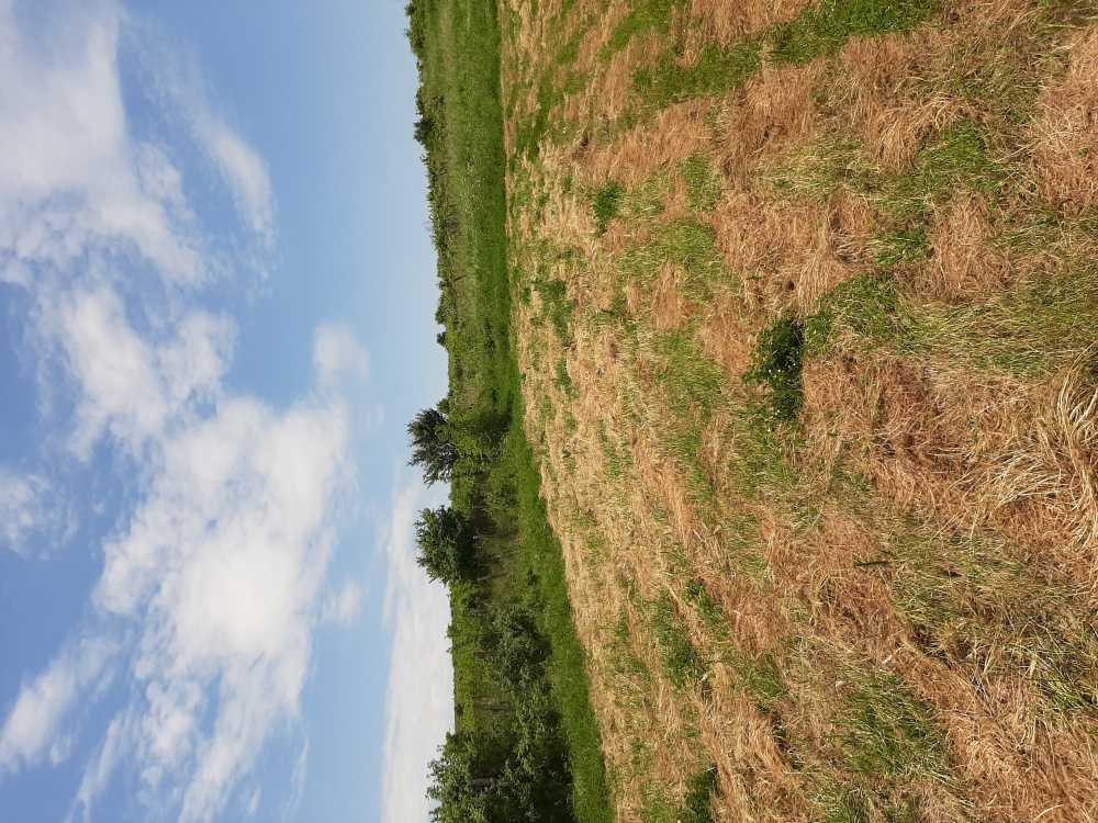 Парцел Харманли