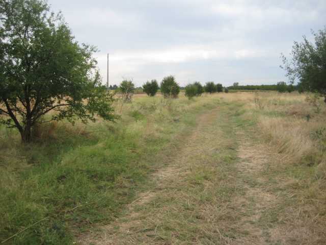 Земеделска земя Добровница