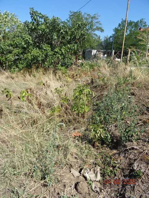 Парцел с къща Бургас