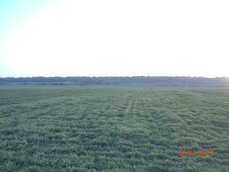 Земеделска земя Росен