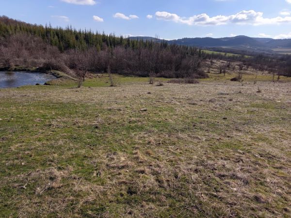 Земеделска земя Сестринско