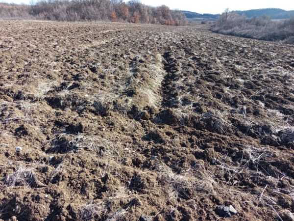 Земеделска земя Сестринско