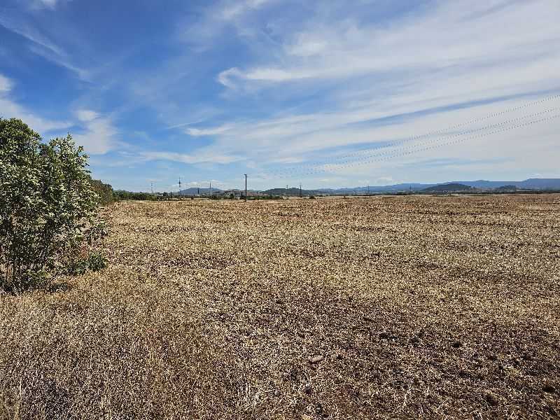 Земеделска земя Столник