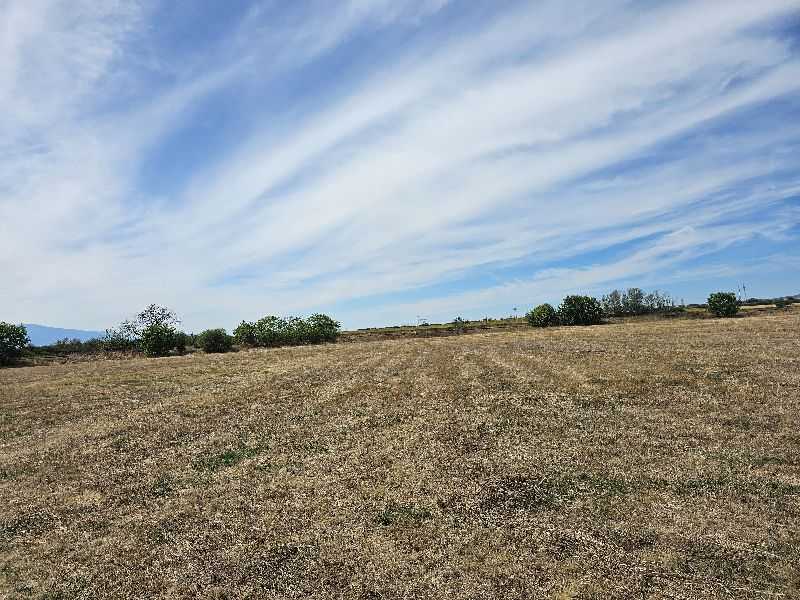 Земеделска земя Столник