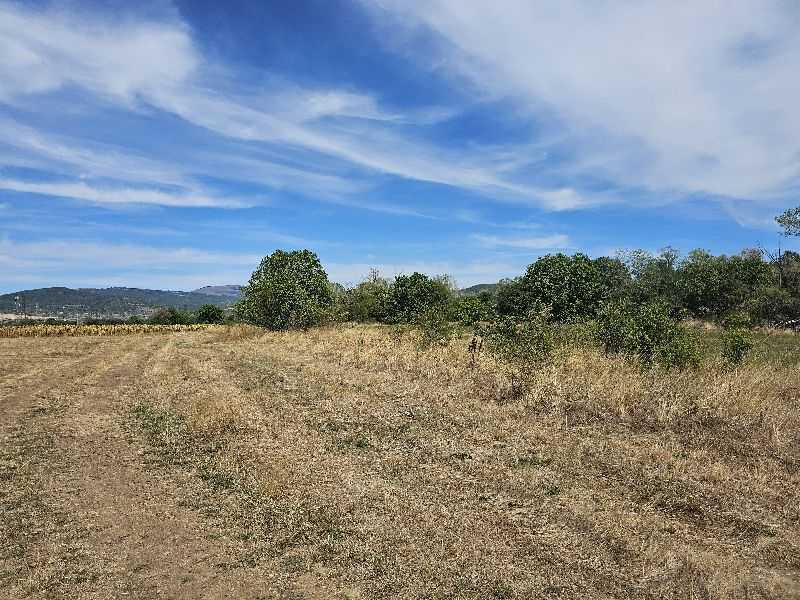 Земеделска земя Столник