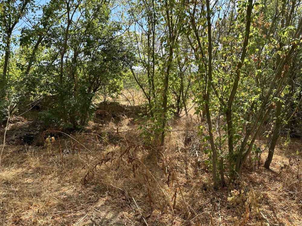 Парцел Новачене