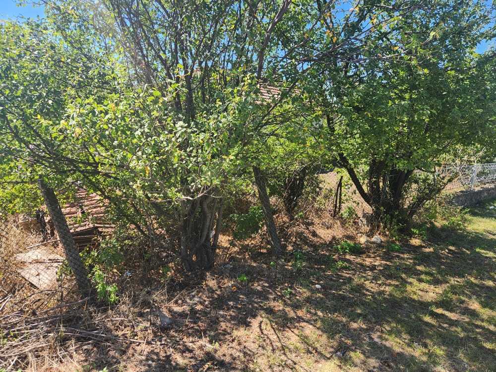 Парцел Изгрев