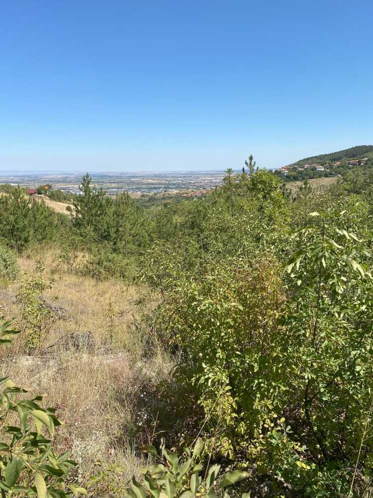 Земеделска земя Асеновград