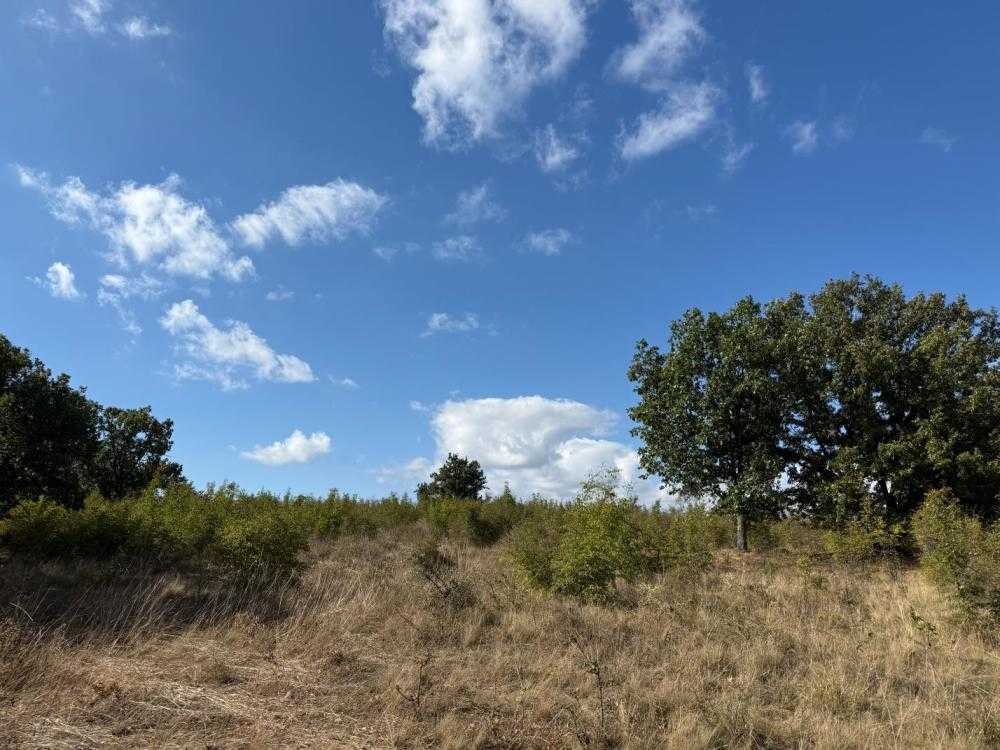 Земеделска земя Крушевец