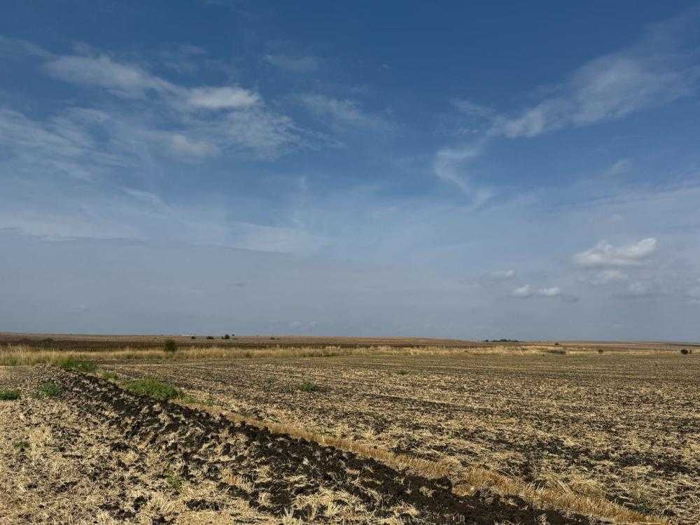 Земеделска земя Ливада