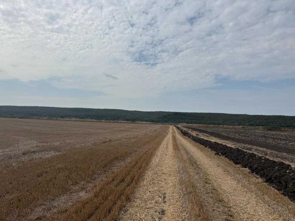 Земеделска земя Ливада